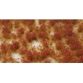 Ciuffi autunno 5 mm e foglie